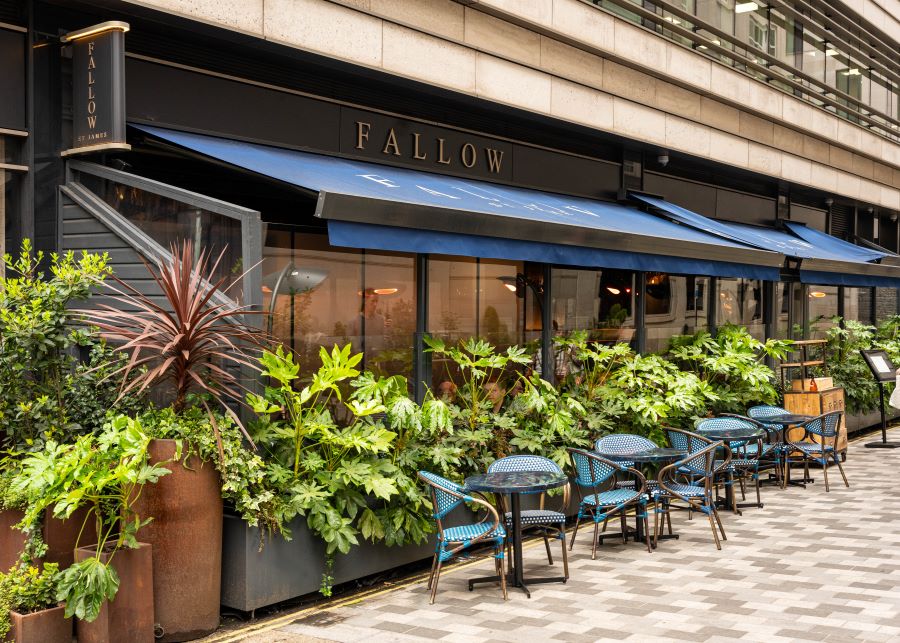 Discover Why Fallow Tops the List of Cool Restaurants in the West End