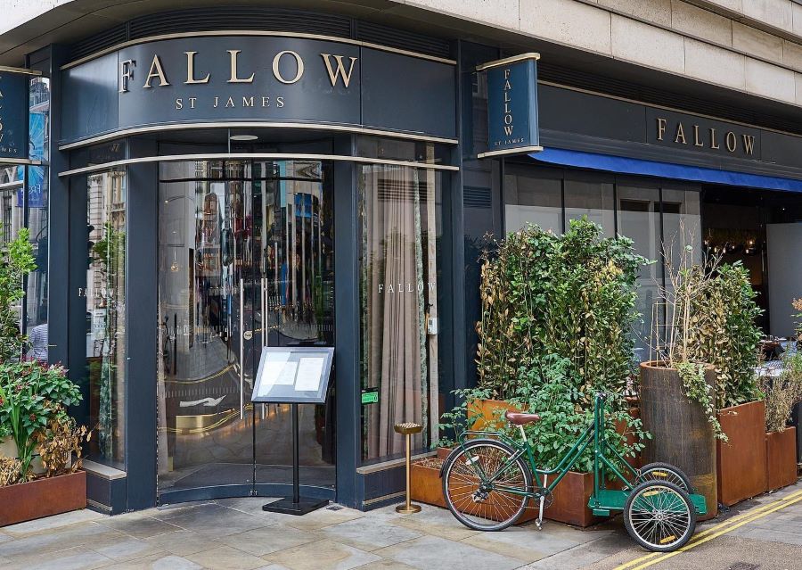 Discover Why Fallow Tops the List of Best Restaurants in Oxford Circus